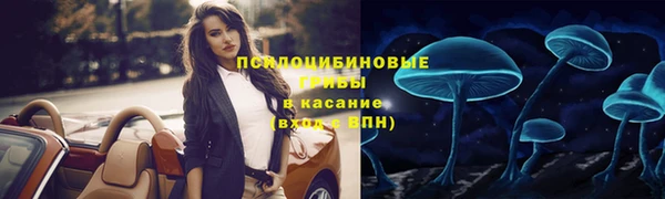 бошки Магас