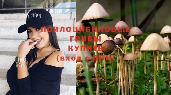 бошки Магас