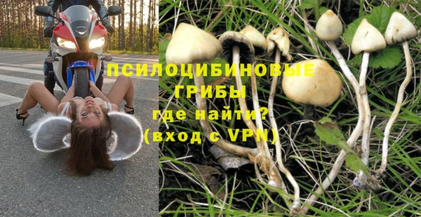 гидропоника Мегион