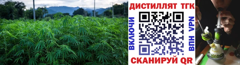 Дистиллят ТГК концентрат  Лысково 